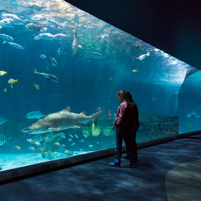 NC Aquarium at Roanoke Island